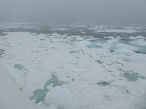 Eis voraus