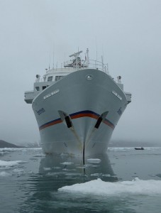 MS Bremen vor dem Samarinbreen