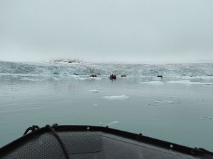 Samarinbreen
