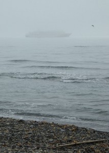 MS Bremen im Nebel