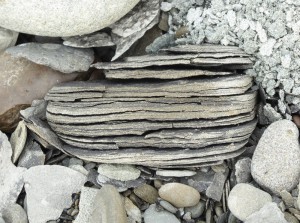Trollbrot
