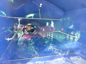Aqua Racer