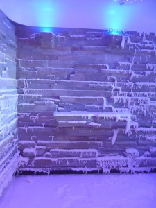 The Snow Room