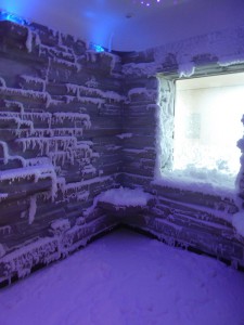 The Snow Room