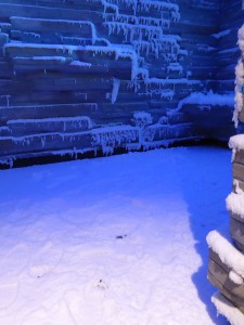 The Snow Room