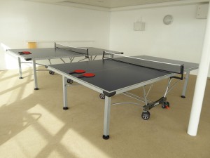Tischtennis-Platten