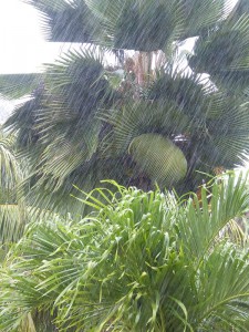tropischer Regenschauer