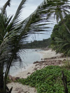 Anse Fourmis