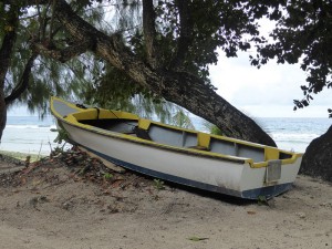 Boot am Wegesrand
