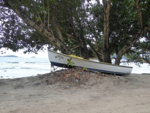 Boot am Wegesrand