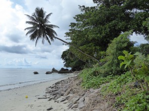 Strand bei Beau Vallon