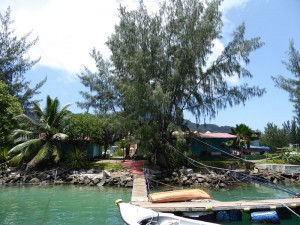 Office von Silhouette Cruises