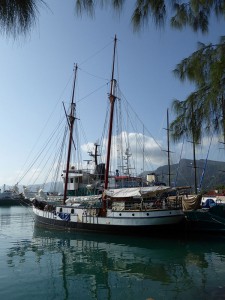 Sea Pearl
