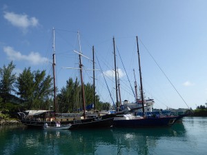 Sea Shell und Sea Star