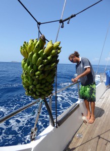 Angeln vom Boot aus