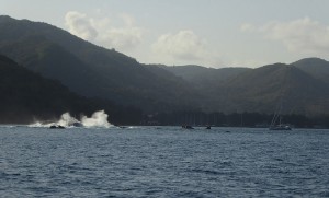 Praslin