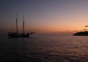 Sea Pearl