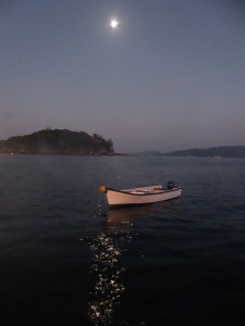 Mond über Round Island