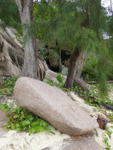 Strand auf Praslin