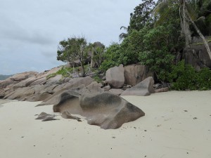 Strand auf Praslin