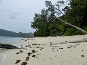 Strand auf Praslin