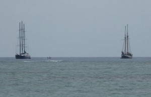 Sea Star und Sea Pearl