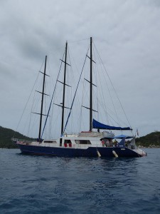 Sea Star