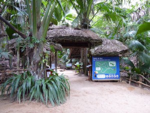 Vallée de Mai