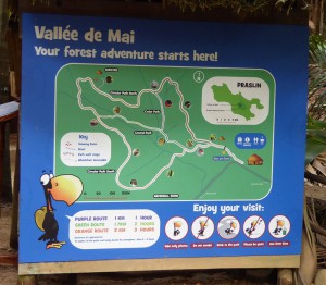 Vallée de Mai
