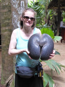 Carmen mit einer Coco de Mer