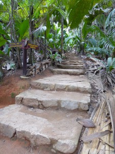 Vallée de Mai