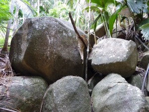 Vallée de Mai