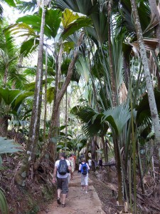 Vallée de Mai