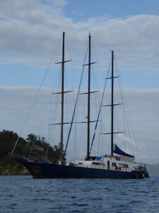 Sea Star vor Round Island
