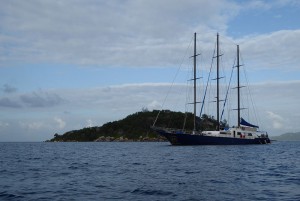 Sea Star vor Round Island