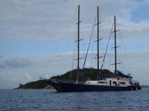 Sea Star vor Round Island