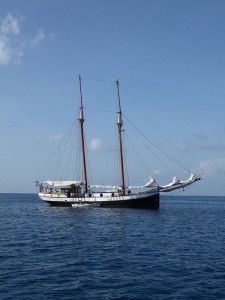 Sea Pearl vor Praslin