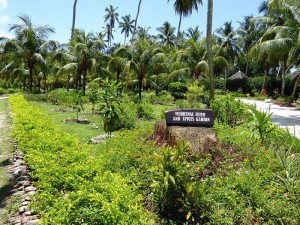 Heilkräuter-Garten