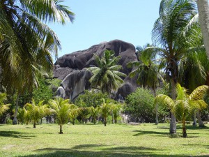 Blick auf den Schildkröten-Felsen