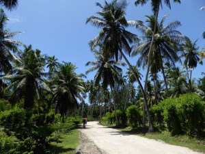 auf dem Weg zum schönsten Strand der Welt