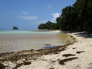 Anse Union