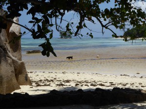 Anse Union