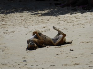 Anse Source d´Argent
