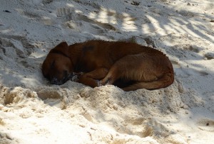 Anse Source d´Argent