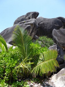 Anse Source d´Argent