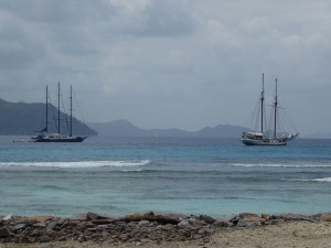 Sea Star und Sea Pearl