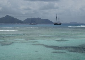 Sea Star und Sea Pearl