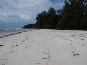 Anse Severe