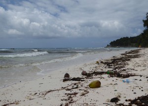 Anse Severe