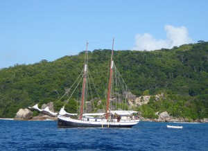 Sea Pearl